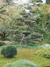 Kenrouken garden, Kanazawa